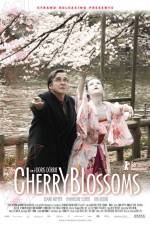 Watch Cherry Blossoms 1channel