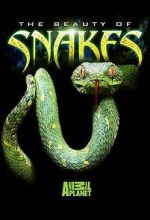 Watch Beauty of Snakes 1channel
