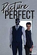 Watch Picture Perfect 1channel