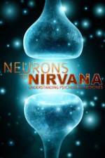 Watch Neurons to Nirvana 1channel