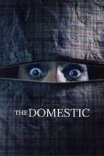 Watch The Domestic 1channel