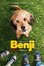 Watch Benji 1channel