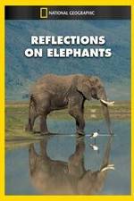 Watch Reflections on Elephants 1channel
