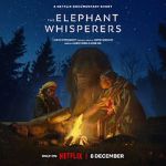Watch The Elephant Whisperers (Short 2022) 1channel