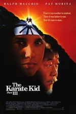 Watch The Karate Kid Part III 1channel