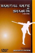 Watch Shaolin Temple 3 - Martial Arts of Shaolin 1channel