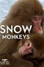 Watch Nature: Snow Monkeys 1channel
