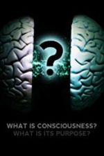 Watch What Is Consciousness? What Is Its Purpose? 1channel