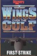 Watch Wings Over the Gulf Vol  1  First Strike 1channel