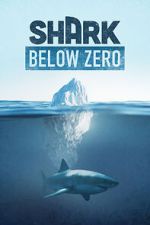 Watch Shark Below Zero 1channel