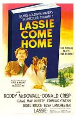 Watch Lassie Come Home 1channel