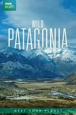 Watch Wild Patagonia 1channel