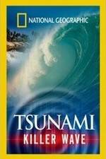 Watch National Geographic: Tsunami - Killer Wave 1channel
