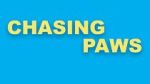 Watch Chasing Paws (Short 2020) 1channel