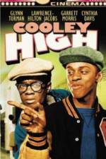 Watch Cooley High 1channel