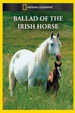 Watch Ballad of the Irish Horse 1channel