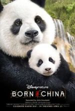 Watch Born in China 1channel