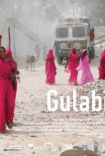 Watch Gulabi Gang 1channel