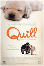 Watch Quill: The Life of a Guide Dog 1channel