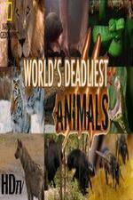 Watch National Geographic - Worlds Deadliest Animal Battles 1channel