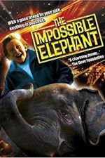 Watch The Incredible Elephant 1channel