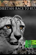 Watch Cheetah: Race to Rule 1channel