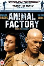 Watch Animal Factory 1channel