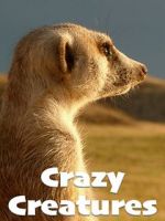 Watch Crazy Creatures 1channel