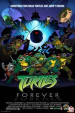 Watch Teenage Mutant Ninja Turtles Turtles Forever 1channel