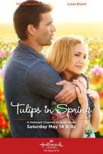 Watch Tulips in Spring 1channel