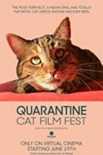 Watch Quarantine Cat Film Fest 1channel