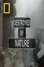 Watch National Geographic Destroyed By Nature 1channel
