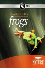 Watch Nature: Fabulous Frogs 1channel