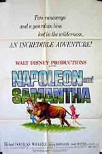 Watch Napoleon and Samantha 1channel