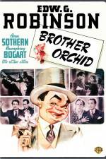 Watch Brother Orchid 1channel