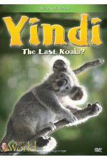 Watch Yindi the Last Koala 1channel