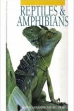 Watch Reptiles and Amphibians 1channel