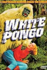 Watch White Pongo 1channel