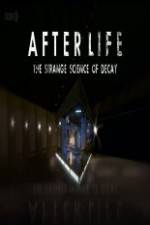 Watch After Life: The strange Science Of Decay 1channel