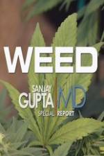 Watch CNN Weed Sanjay Gupta Report 1channel