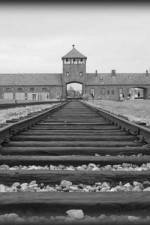 Watch AUSCHWITZ: ORDERS AND INITIATIVES 1channel