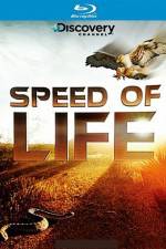 Watch Speed of Life 1channel