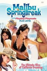 Watch Malibu Spring Break 1channel