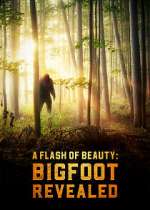 Watch A Flash of Beauty: Bigfoot Revealed 1channel
