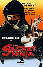 Watch Secret Ninja 1channel