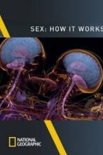 Watch Sex How It Works 1channel