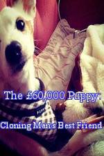 Watch The 60,000 Puppy: Cloning Man's Best Friend 1channel