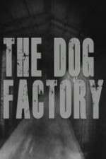 Watch The Dog Factory 1channel