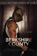 Watch Berkshire County 1channel