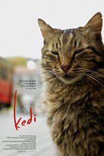 Watch Kedi 1channel